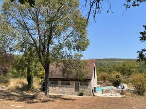 a church with a tree in front of it at Mas de Méjas Chambre d'hôtes La Pierraille in Calvignac
