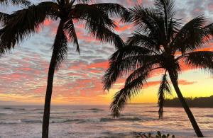 two palm trees on the beach at sunset at Hale Kepuhi in Hanalei