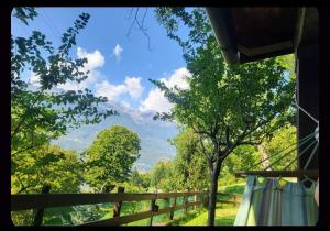a view of a forest with a fence and trees at La Casetta di Cri Morbegno in Morbegno