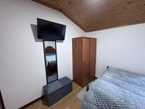 a bedroom with a bed and a flat screen tv at Gerês Natura in Valdosende +15 photos