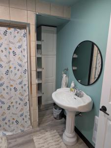 a bathroom with a sink and a shower with a mirror at Finnegan's Cottage in Placentia +19 photos