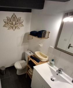 a bathroom with a toilet and a sink and a mirror at Studio indépendant avec jardinet in Tarnos