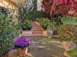 a garden with a bunch of plants and flowers at Mary Casa Vacanza in Monterotondo