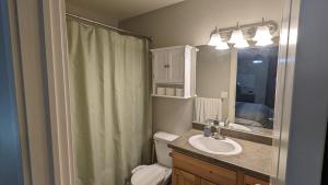 a bathroom with a sink and a toilet and a mirror at Central Mountain Retreat - Sleeps 7! in Logan +22 photos