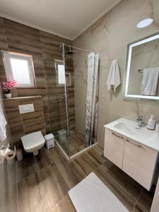 a bathroom with a shower and a toilet and a sink at Apartman Đole&Ljuba -Radanovići , Kotor in Ðuranovići +20 photos