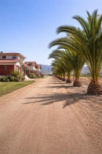 a row of palm trees on a dirt road at San José Hotel Boutique & Spa in La Ligua