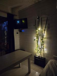 a room with a bench and a plant with lights at Cabañas Amo Río - Delta in Tigre