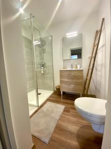 a bathroom with a shower and a toilet and a sink at Chambre zen in Châteauneuf-sur-Charente