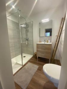 a bathroom with a shower and a toilet and a sink at Chambre zen in Châteauneuf-sur-Charente
