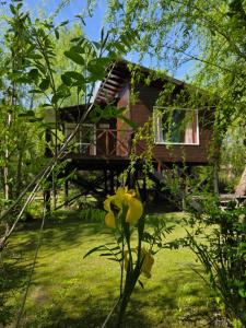 a small wooden house in the middle of a yard at Cabañas Amo Río - Delta in Tigre