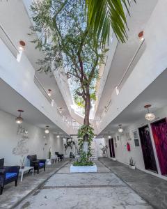 a hallway with a tree in the middle of a building at Ahava Hotel in Playa del Carmen