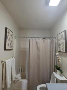 a bathroom with a shower curtain and a toilet at RJN in Fairbanks