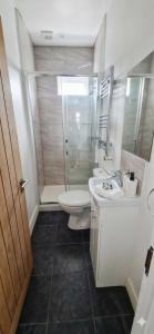 a bathroom with a toilet and a sink and a shower at Central 3 beds with parking in Reading