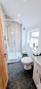 a bathroom with a shower and a toilet and a sink at Central 3 beds with parking in Reading +2 photos