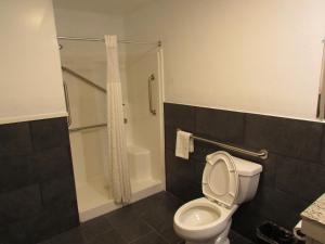 a bathroom with a toilet and a shower with a shower curtain at Parsons Inn Downtown Parsons,Tn in Parsons +45 photos