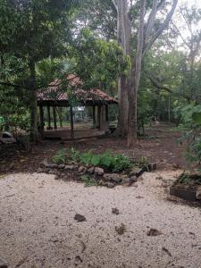 a garden with a pavilion with trees and plants at The Paradise Jungle Studio in Coco