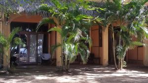 Gallery image of Hotel La Palapa in Tamarindo