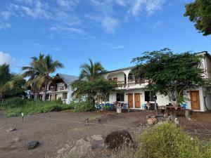 a building with palm trees in front of it at Hotel Witttmer in Puerto Velasco Ibarra