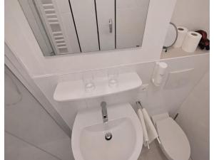 a white bathroom with a sink and a toilet at Studio Bernhard mit Pool und Sauna in Freyung +32 photos