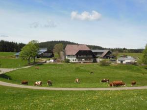 a herd of cows grazing in a field of grass at Sugar Farm Weideblick in Sankt Georgen im Schwarzwald