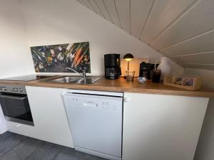 a kitchen with a counter with a sink and a stove at Altrhein Hideaway ruhige Ferienwohnung nahe Frankfurt ideal für Natur & Radfahrer in Riedstadt