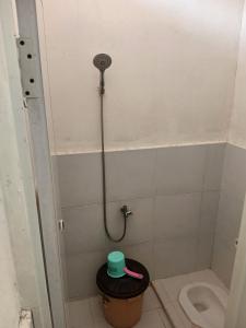 a bathroom with a toilet and a shower at Rumah Putih Edi in Sengkol