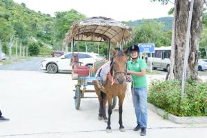 a man standing next to a horse pulling a cart at Kakse Teschor Mong Reththy Senchey in Phumĭ Svay Dângkum