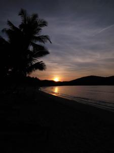a palm tree on a beach at sunset at Emil's Beach Cottage in El Nido