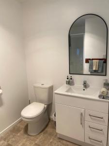 a bathroom with a toilet and a sink and a mirror at Flax Ridge in Hokitika Airport