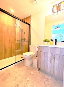 a bathroom with a toilet and a shower and a sink at New Luxury MountainView Downtown2B2B RooftopHottub in Canmore +31 photos