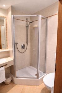 a shower with a glass door in a bathroom at Hotel Wendelstein München City in Munich