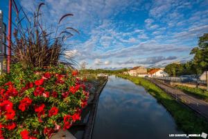 a canal with red flowers and houses in the background at Au relais in Sarralbe