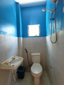 a bathroom with a toilet and a sink at Lake Lovers Stay Hostel in Badian +7 photos