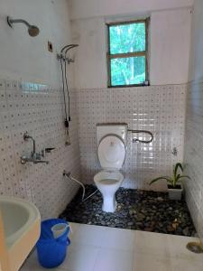 a bathroom with a toilet and a sink at Aama Homestay in Tabo