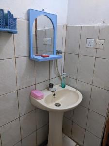 a bathroom with a sink and a mirror on the wall at flying in stay in Dankotuwa