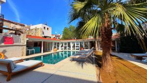 a swimming pool with a palm tree next to a house at Jardin d'Azur Alaçatı in Alaçatı