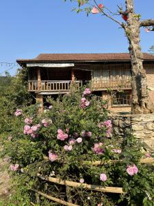 a house with pink roses in front of it at ANOR - Farmstay - Double bed in Ha Tia +23 photos