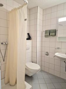 a white bathroom with a toilet and a sink at Casa Maria Apartments Solothurn in Solothurn +19 photos