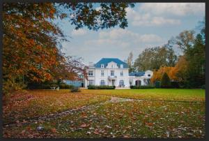 a large white house with autumn leaves on the ground at Castle B&B Castanea in Merelbeke