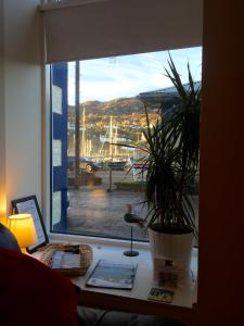 a window with a potted plant on a desk at Artisan Studio in Tarbert