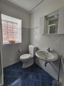 a bathroom with a toilet and a sink at Casa Ilde in Palagnedra