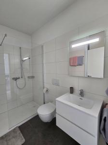 a bathroom with a toilet and a sink and a shower at Casa Chiara in Cavergno
