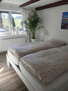 a bedroom with two beds and a potted plant at Kranichhof in Hohwacht