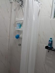 a shower with a white shower curtain in a bathroom at Ebenezer Comfort in Bellevue Chopin