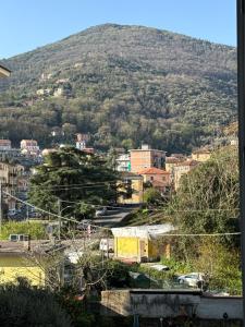 Blick auf eine Stadt mit einem Berg im Hintergrund in der Unterkunft Evy’s Rooms in La Spezia