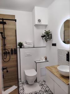 a bathroom with a toilet and a sink at Parc Central Republicii 63 in Baia Mare