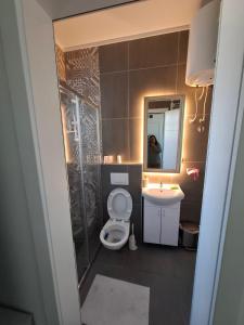 a bathroom with a toilet and a sink and a mirror at Sremica in Vrnjci +6 photos