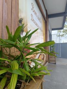 a plant in a box in front of a building at Aconchegante com Ótimo preço, Vem conferir! in Cascavel