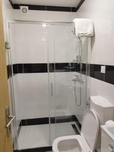 a bathroom with a glass shower with a toilet at Luxury suites Marušić sobe in Brodski Varoš