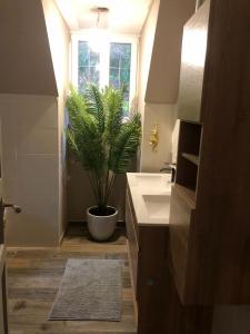a bathroom with a sink and a potted plant at Pensée in Huelgoat